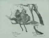 Croquis d'Afrique by Robert Hainard, 1967, woodcut, sold Mar 2026