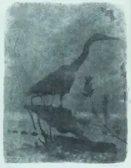 Reiher by Robert Hainard, 1971, woodcut, sold Mar 2026