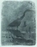 Reiher by Robert Hainard, 1971, woodcut, sold Mar 2026