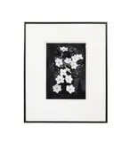 printed by Alan Ross (American by Ansel Adams, gelatin silver print, sold Feb 2026