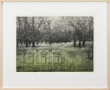 Orchard by David Smith-Harrison, 1988, etching on Arches paper, sold Apr 2022