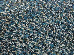 À vol d'oiseaux les oies by Raynald Leclerc, oil on canvas, sold Jul 2026