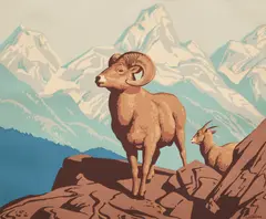 Rocky Mountain Sheep (Ovis Canadensis) by A. J. Casson, Sampson Matthews silkscreen, sold Jul 2026