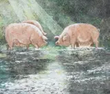 Pigs Mixed media 29 by Victor Richardson, pencil, sold Apr 2024