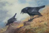 Untitled by Archibald Thorburn, watercolor, sold Jan 2024