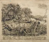 Fallen Tree - Selskovgen Drypoint etching by Niels Skovgaard, etching, sold Jan 2024
