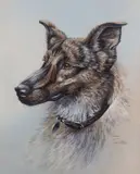 Untitled by Warwick Higgs, Watercolour, sold Nov 2023