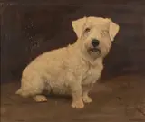 Peter - A terrier Oil by F. M. Hollams, oil, sold Oct 2023