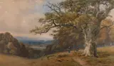 Views of Cowdray Park A pair of watercolours Each 41 by Thomas Pyne, 1877, watercolor, offered Oct 2023