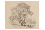 Untitled by Carl Ludvig Messmann, ink, offered May 2024