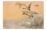 Untitled by William E Powell, watercolour and body, offered May 2024