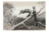 Untitled by John Guille Millais, watercolour, offered May 2024