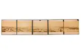 c.1879 by Panorama Of Sydney Harbour, print, offered Mar 2024