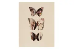 Untitled by Jiří Kolář, 1970, Collage Butterfly Series artist stamp on the reverse paper collage on card, offered Mar 2024