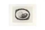 Untitled by Georges Braque, pencil, offered Feb 2024