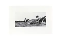 Untitled by Abigail Lane, pencil, offered Feb 2024