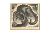 Untitled by Agnes Miller Parker, pencil, offered Feb 2024