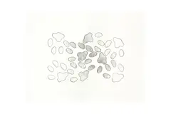 Untitled by Bernard Cohen, Print, offered Feb 2024