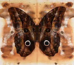 The predator's power of appreciation (ii) by John Keane, Oil on inkjet transfer on canvas, unframed, offered Apr 2023