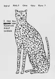 Animals & Existentialism by David Shrigley, print (other), offered Mar 2023