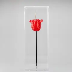 Discordo Ergo Sum: Knife-Rose by Renate Bertlmann, acrylic, offered Mar 2023