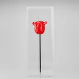 Discordo Ergo Sum: Knife-Rose by Renate Bertlmann, acrylic, offered Mar 2023
