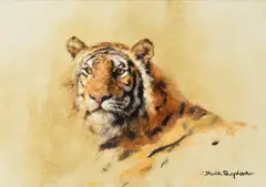TIGER + five ceramic plates by David Shepherd, oil, sold Mar 2023