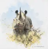 Rhino & lion by David Shepherd, oil, sold Mar 2023