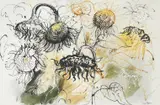 Sunflowers by John Piper, 1955, Watercolour, ink and wash, heightened with white, sold Mar 2023