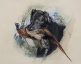 A retriever, with pheasant in his mouth - unfinished by Edwin Henry Landseer, 1827, watercolour, sold Oct 2023