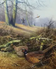 Pheasant beating by Tony Sheath, oil on canvas, sold Jul 2023
