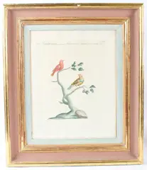 Bengalini Minori..CCCLXVI by Xaverio Manetti, etching, sold Dec 2025