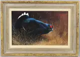 Black Grouse by Terence Lambert, oil on canvas, sold Nov 2025