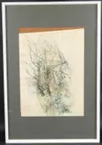 Tree Study by Anne Barnham, pencil and watercolour, offered Oct 2025