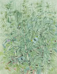 'Orange Tip Butterflies on Horse by Mildred E. Eldridge, 1962, watercolour, sold Apr 2024
