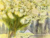 Pear Tree by Joan Connell, watercolour and crayon, sold Mar 2024