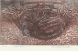Old Cat' etching by Richard Bawden, etching, sold Jul 2024