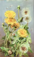 Dandelions by Anne Cotterill, oil on board, sold Jun 2024