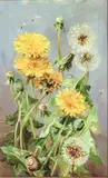 Dandelions oil on board by Anne Cotterill, oil on board, sold Jun 2024