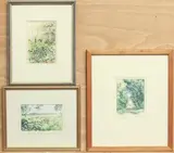 Foxgloves and ferns by Dorothy J. Pavey, watercolor, offered Jun 2024
