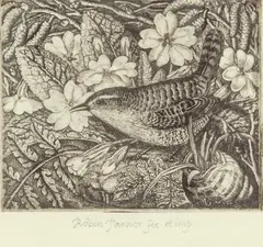 Wren & Primroses by Robin Tanner, etching, sold Jun 2024