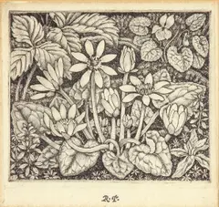 Lesser Celandine by Robin Tanner, etching, sold Jun 2024