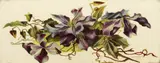 Still life of clematis flowers by H. Henderson, 1879, oil, sold May 2024