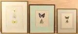 Untitled by Alexander Donald Abbot Russwurm, 1976, watercolor, sold May 2024