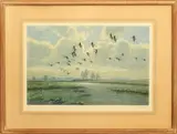 Geese in flight over salt marshes limited edition colour by Peter Scott, lithograph, sold May 2024