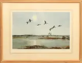 The Upland Pool - Pintails by Peter Scott, lithograph, sold May 2024