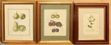 One of Bleeker by Ebenezer Eminons, lithograph, sold May 2024