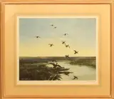 Mallards arriving at dusk limited edition colour lithograph by Peter Scott, lithograph, sold May 2024