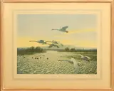 North Wind - Bewick Swans limited edition colour lithograph by Peter Scott, lithograph, sold May 2024