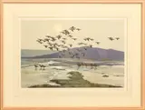 Barnacles coming off the Merse at Caer Laverock by Peter Scott, lithograph, sold May 2024